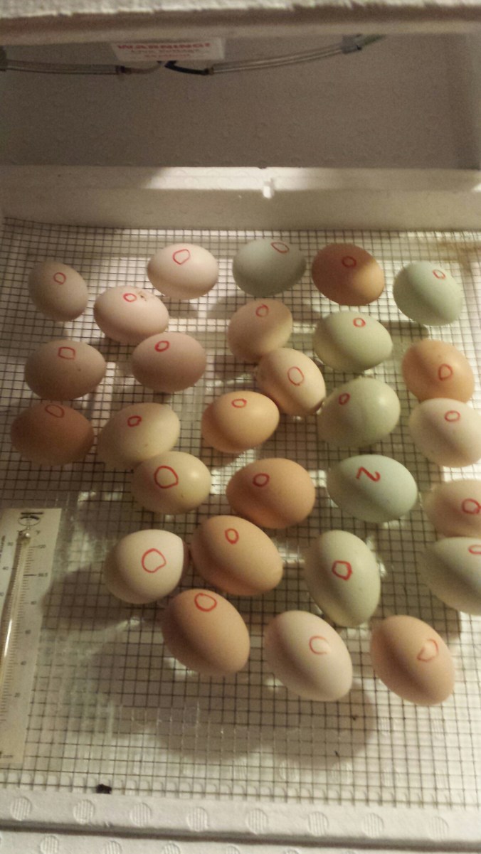 20150320_204346.jpg image